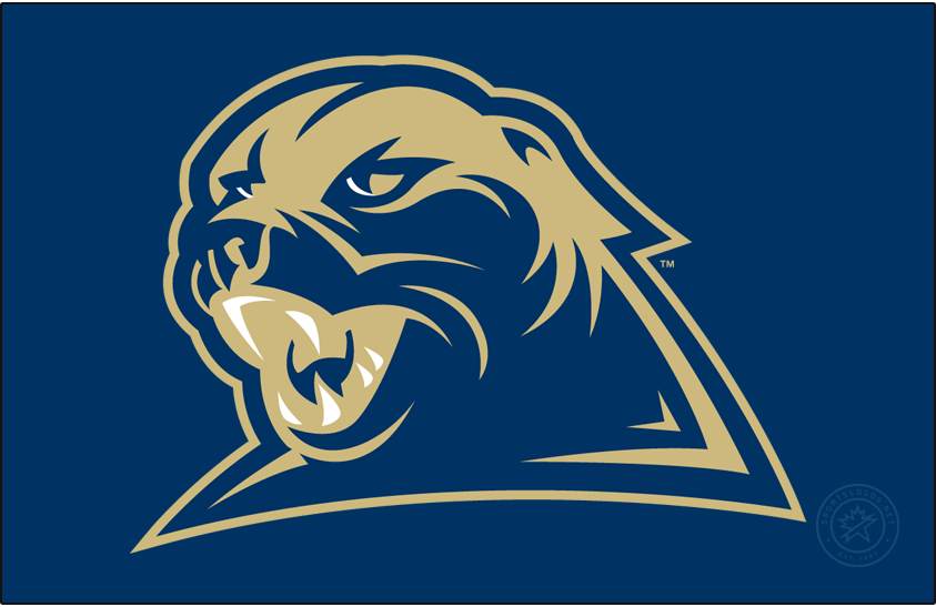 Pittsburgh Panthers 2006-2009 Secondary Logo diy iron on heat transfer